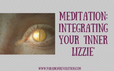 Meditation: Integrating your Inner Lizzie