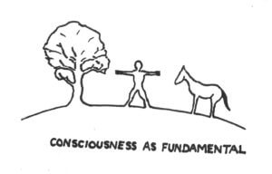 Consciousness is fundamental